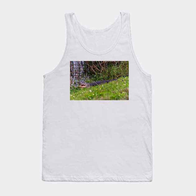 Alligator at Viera Wetlands Florida Tank Top by Beautiful Cuteness